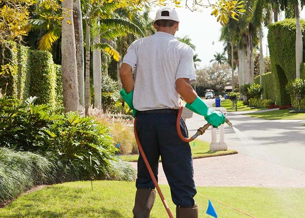 About Whitethorn CA Pest Control